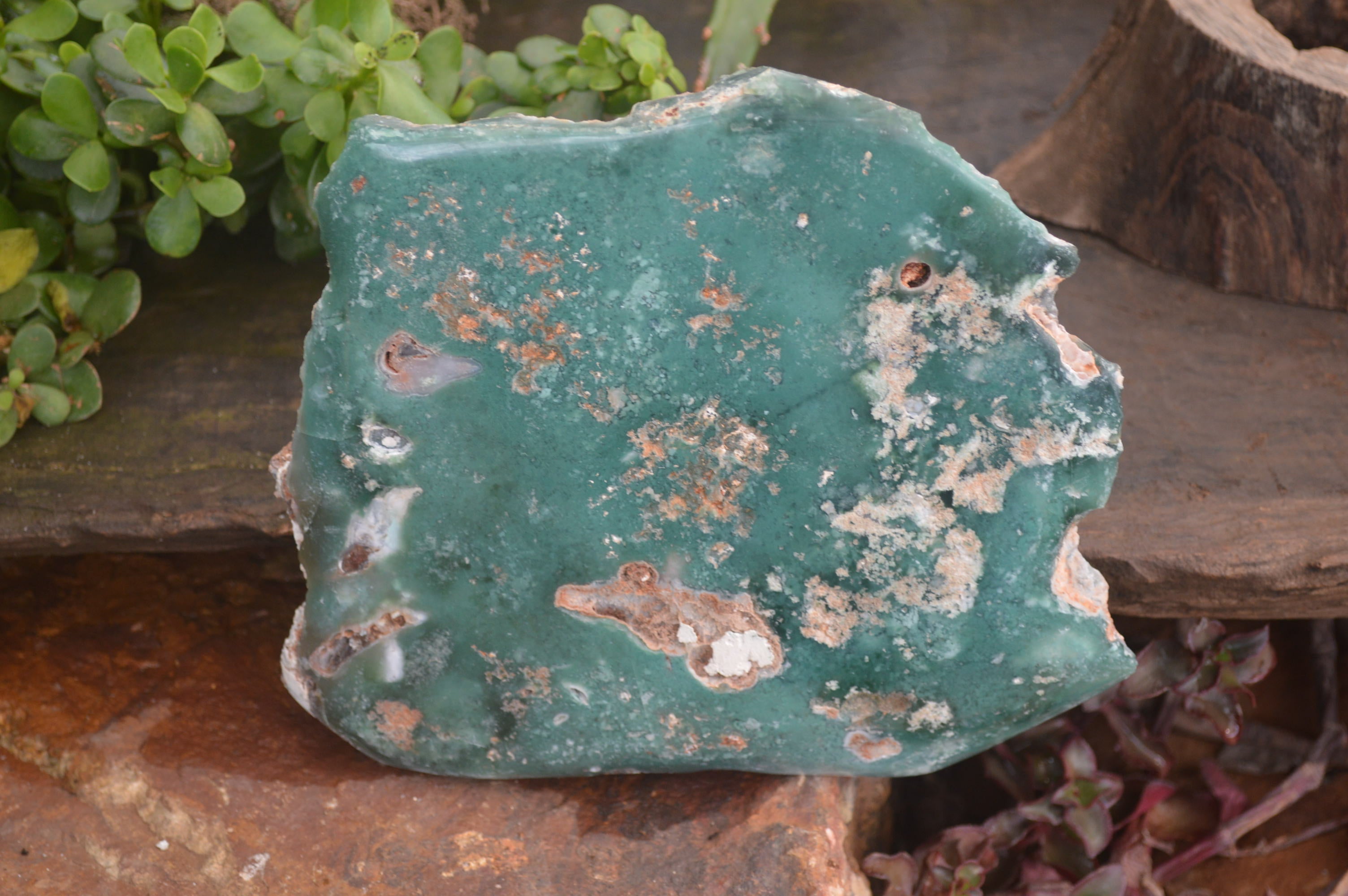 Polished On One Side Emerald Mtorolite x 1 From Mutorashanga, Zimbabwe - Toprock Gemstones and Minerals 