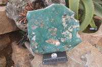 Polished On One Side Emerald Mtorolite x 1 From Mutorashanga, Zimbabwe - Toprock Gemstones and Minerals 