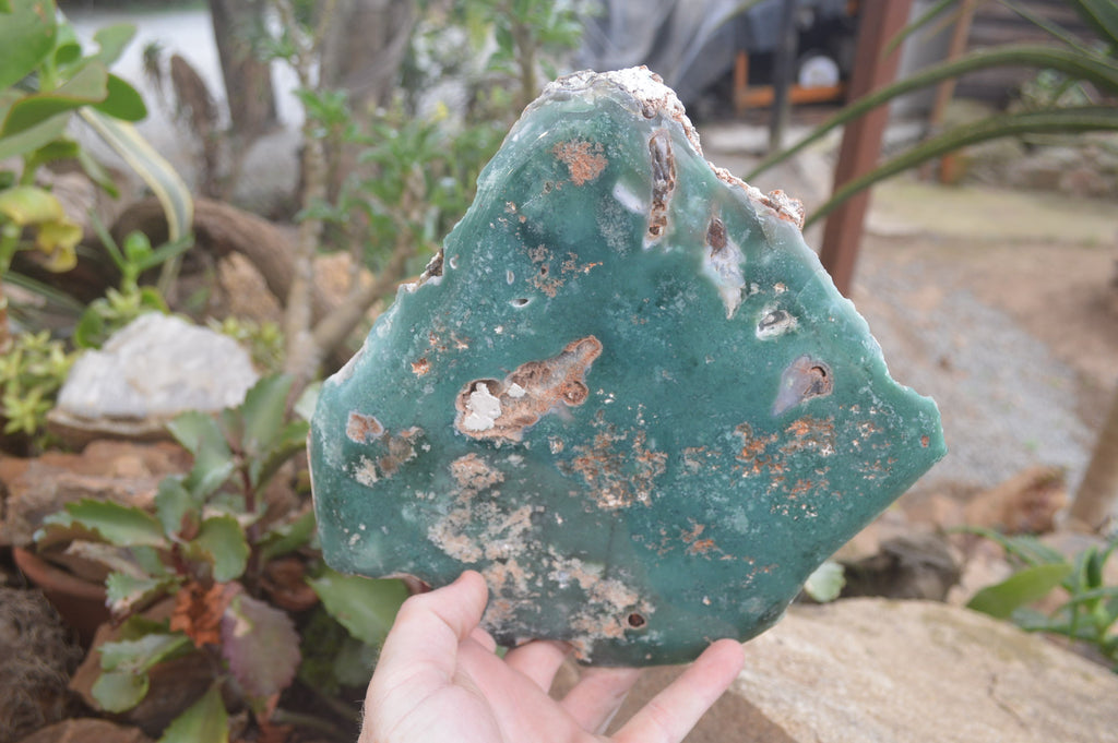 Polished On One Side Emerald Mtorolite x 1 From Mutorashanga, Zimbabwe - Toprock Gemstones and Minerals 