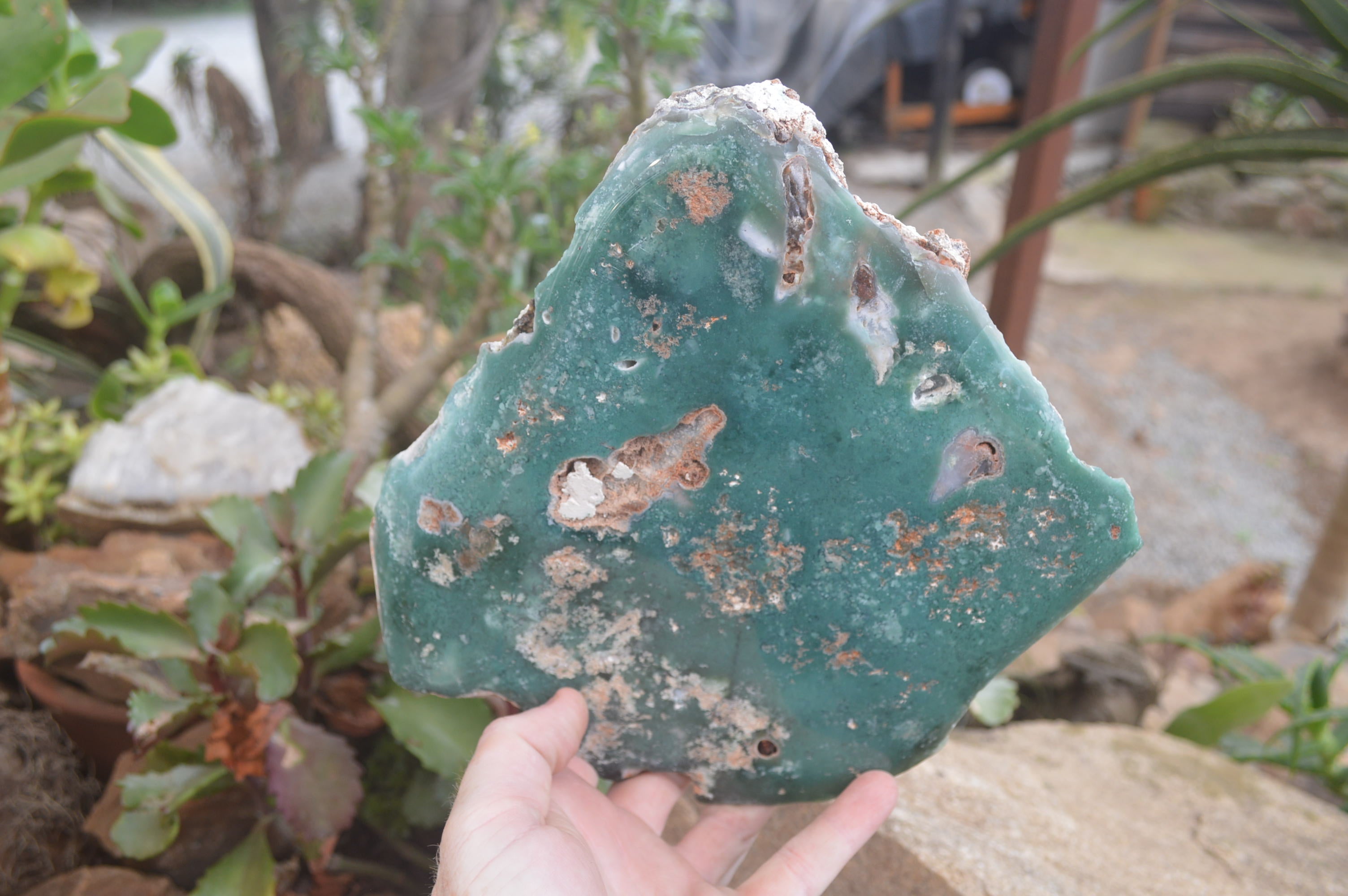 Polished On One Side Emerald Mtorolite x 1 From Mutorashanga, Zimbabwe - Toprock Gemstones and Minerals 