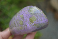 Polished Stichtite Standing Free Forms x 2 From Barberton, South Africa - Toprock Gemstones and Minerals 