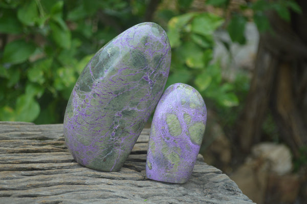 Polished Stichtite Standing Free Forms x 2 From Barberton, South Africa - Toprock Gemstones and Minerals 