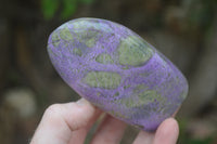 Polished Stichtite Standing Free Forms x 2 From Barberton, South Africa - Toprock Gemstones and Minerals 