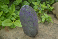 Polished Stichtite Standing Free Forms x 2 From Barberton, South Africa - Toprock Gemstones and Minerals 