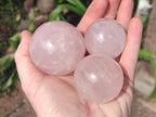 Polished Rose Quartz Spheres x 6 From Madagascar - Toprock Gemstones and Minerals 