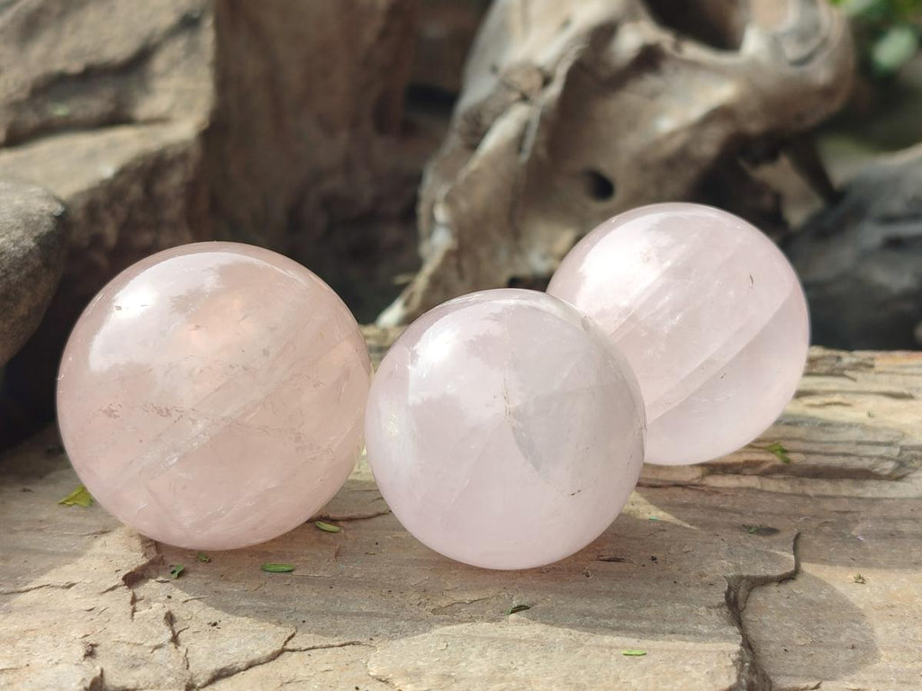 Polished Rose Quartz Spheres x 6 From Madagascar - Toprock Gemstones and Minerals 