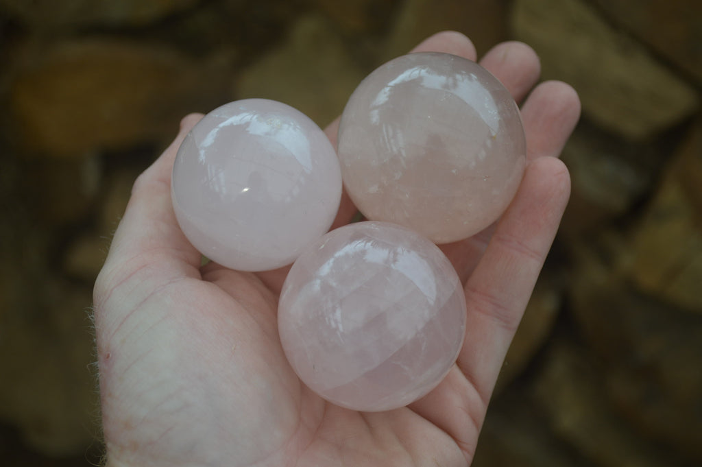 Polished Rose Quartz Spheres x 6 From Madagascar - Toprock Gemstones and Minerals 
