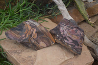 Natural Nguni Jasper Cobbed Specimens x 2 From Prieska, South Africa - Toprock Gemstones and Minerals 