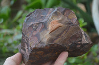 Natural Nguni Jasper Cobbed Specimens x 2 From Prieska, South Africa - Toprock Gemstones and Minerals 
