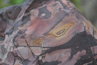 Natural Nguni Jasper Cobbed Specimens x 2 From Prieska, South Africa - Toprock Gemstones and Minerals 
