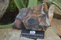 Natural Nguni Jasper Cobbed Specimens x 2 From Prieska, South Africa - Toprock Gemstones and Minerals 