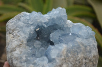 Natural Celestite Geode Specimen x 1 From Sakoany, Madagascar - Toprock Gemstones and Minerals 
