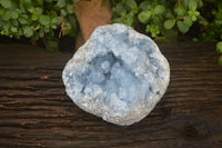 Natural Celestite Geode Specimen x 1 From Sakoany, Madagascar - Toprock Gemstones and Minerals 