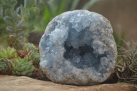 Natural Celestite Geode Specimen x 1 From Sakoany, Madagascar - Toprock Gemstones and Minerals 