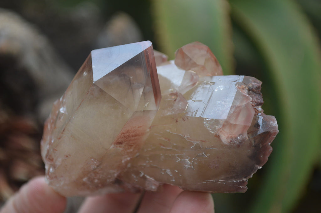 Natural Red Hematoid Quartz Clusters x 6 From Karoi, Zimbabwe - Toprock Gemstones and Minerals 