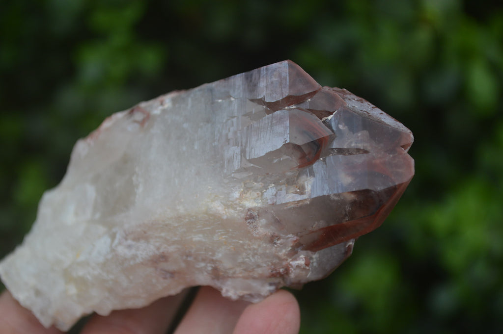 Natural Red Hematoid Quartz Clusters x 6 From Karoi, Zimbabwe - Toprock Gemstones and Minerals 