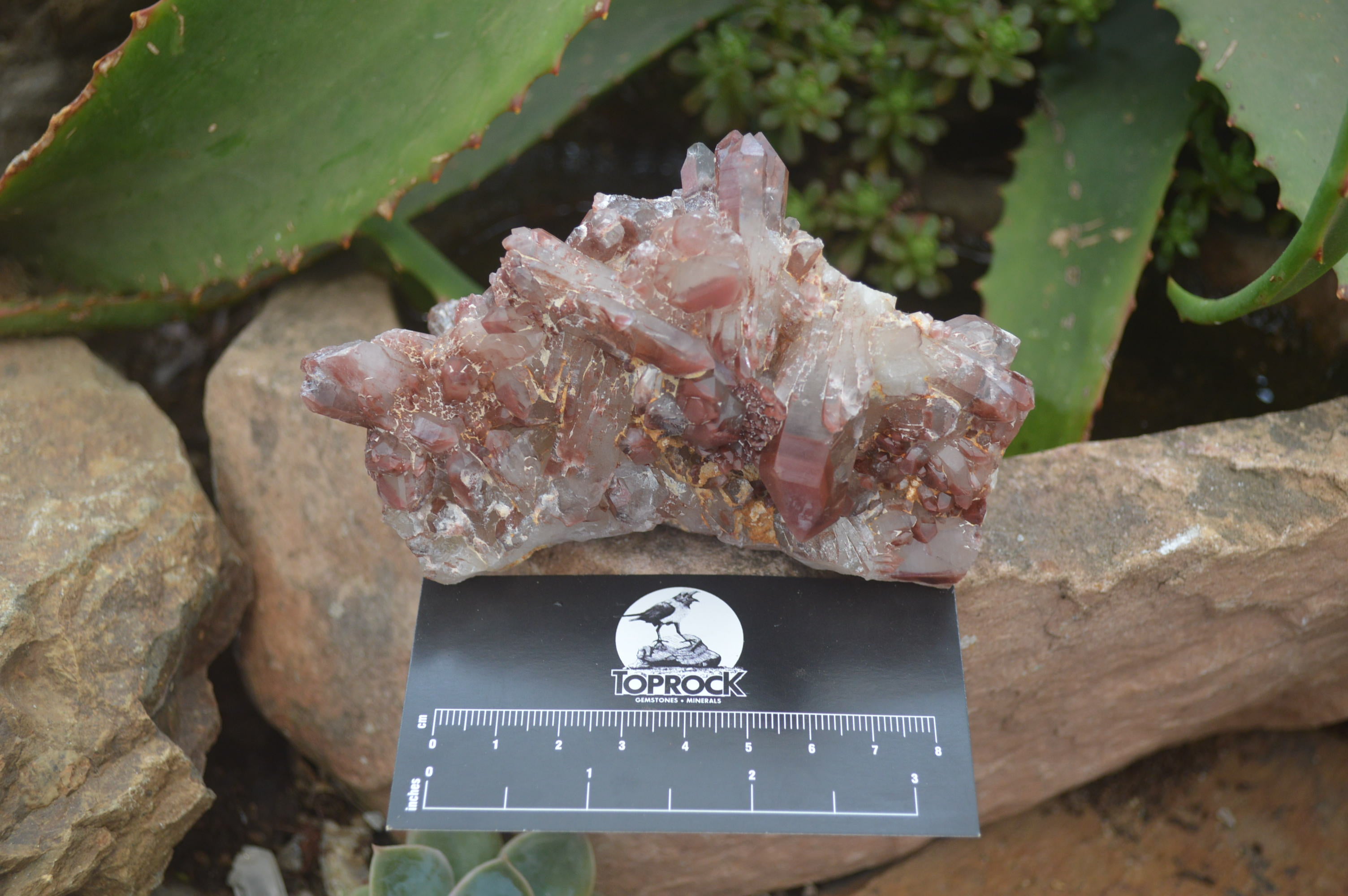 Natural Red Hematoid Quartz Clusters x 6 From Karoi, Zimbabwe - Toprock Gemstones and Minerals 
