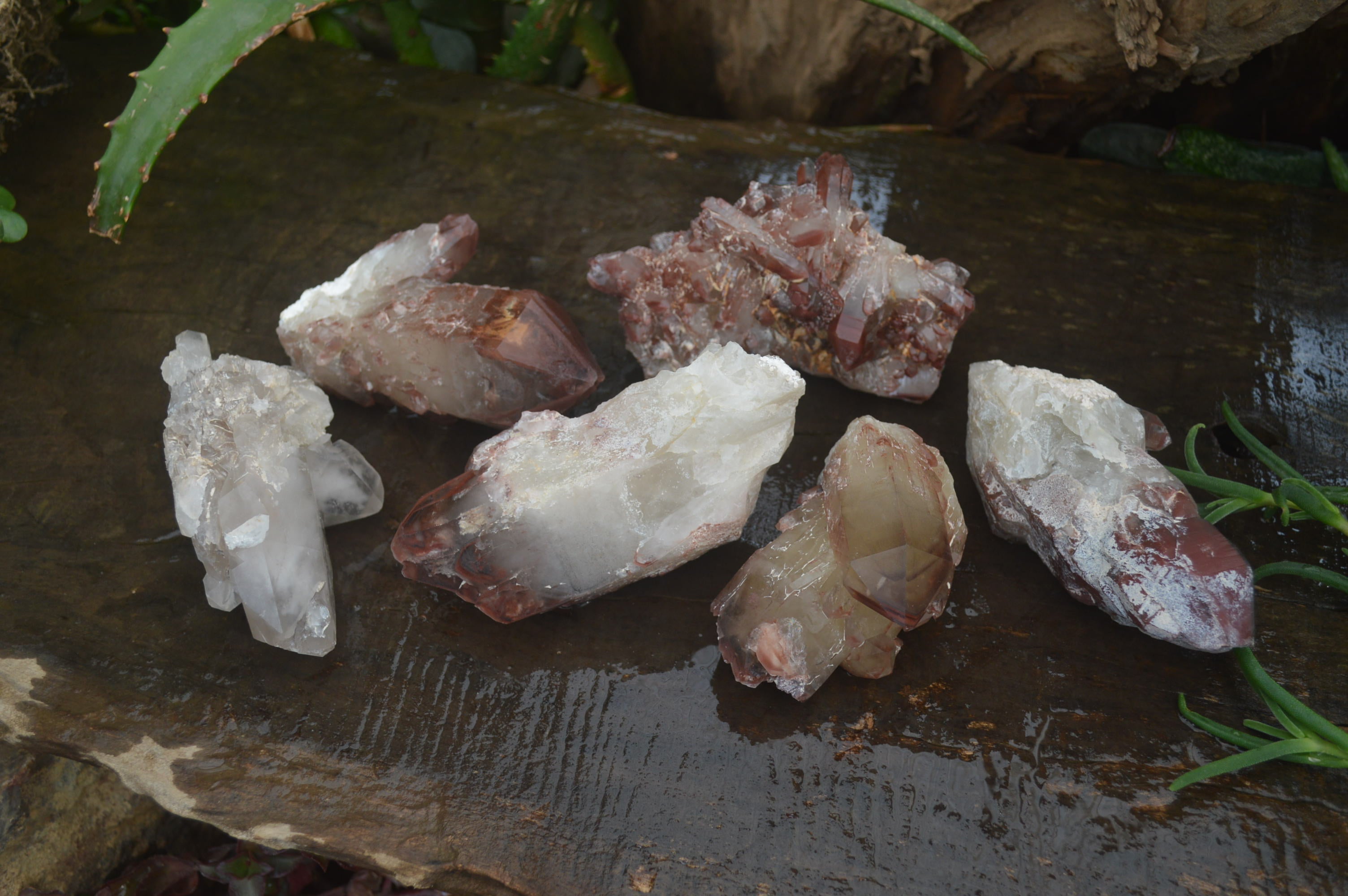 Natural Red Hematoid Quartz Clusters x 6 From Karoi, Zimbabwe - Toprock Gemstones and Minerals 