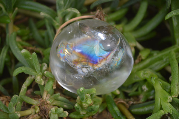 Polished Clear Quartz Palm Stones x 24 From Madagascar - Toprock Gemstones and Minerals 