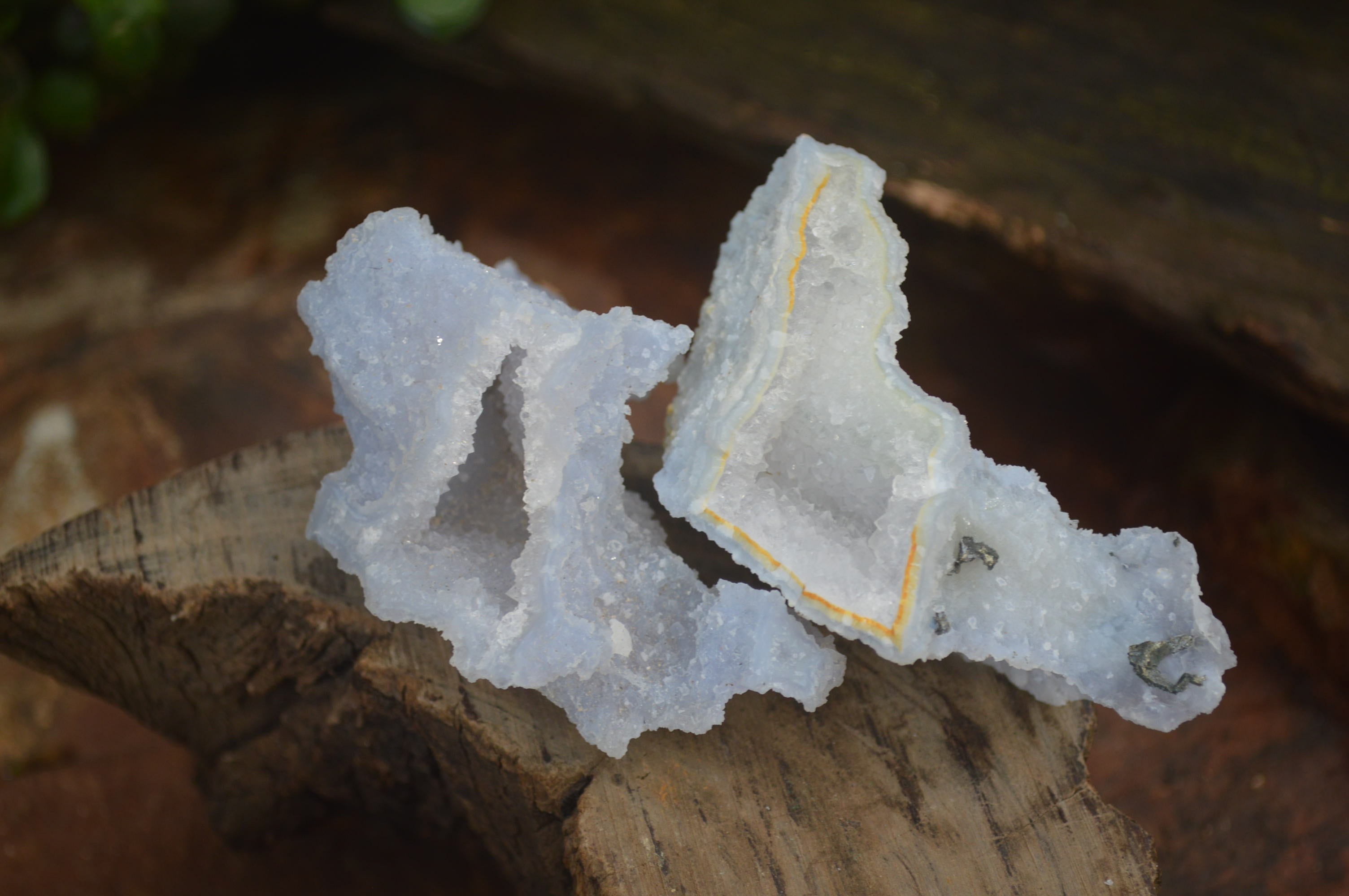 Natural Etched Blue Chalcedony Specimens x 12 From Nsanje, Malawi - Toprock Gemstones and Minerals 