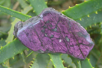 Polished On One Side Metallic Purpurite x 6 From Namibia - Toprock Gemstones and Minerals 