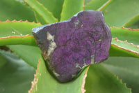 Polished On One Side Metallic Purpurite x 6 From Namibia - Toprock Gemstones and Minerals 