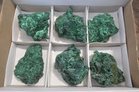 Natural Silky Malachite Specimens x 6 From Kasompe, Congo - Toprock Gemstones and Minerals 