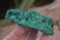 Natural Silky Malachite Specimens x 6 From Kasompe, Congo - Toprock Gemstones and Minerals 