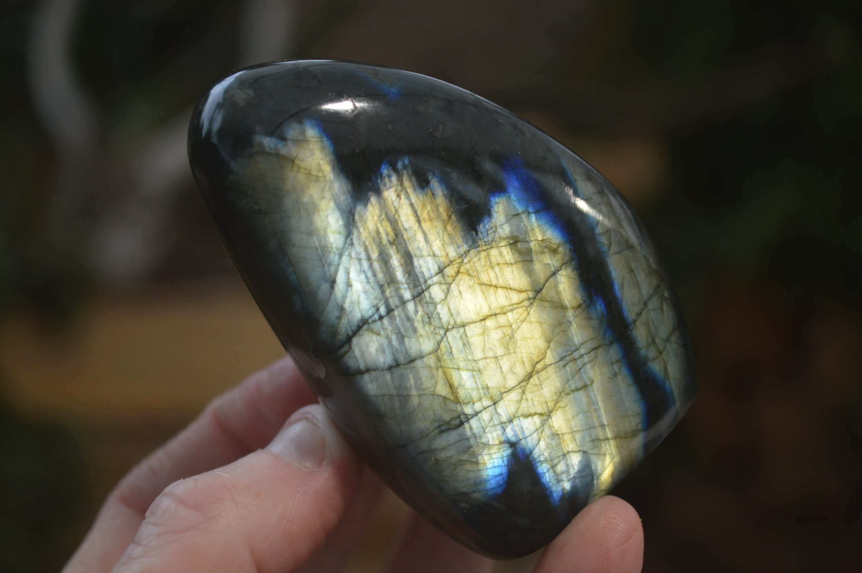 Polished Labradorite Standing Free Forms x 6 From Madagascar - Toprock Gemstones and Minerals 