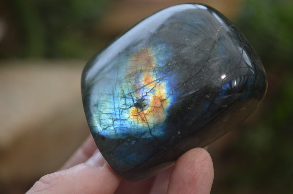 Polished Labradorite Standing Free Forms x 6 From Madagascar - Toprock Gemstones and Minerals 