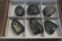 Polished Labradorite Standing Free Forms x 6 From Madagascar - Toprock Gemstones and Minerals 