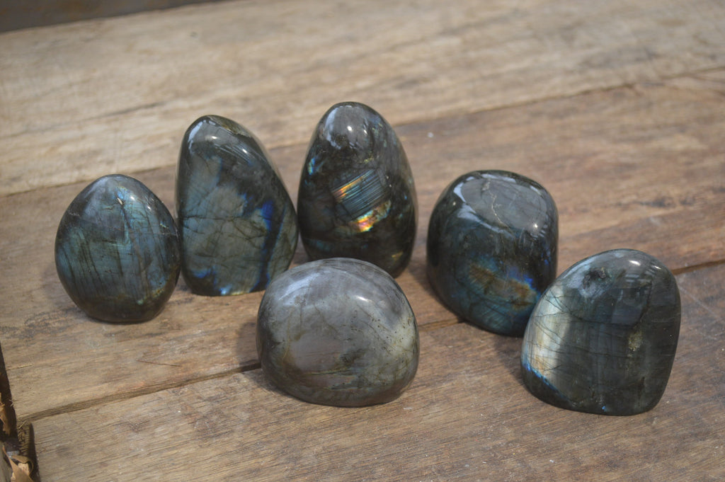 Polished Labradorite Standing Free Forms x 6 From Madagascar - Toprock Gemstones and Minerals 