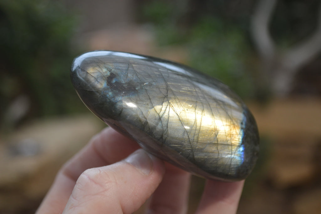 Polished Labradorite Standing Free Forms x 6 From Madagascar - Toprock Gemstones and Minerals 