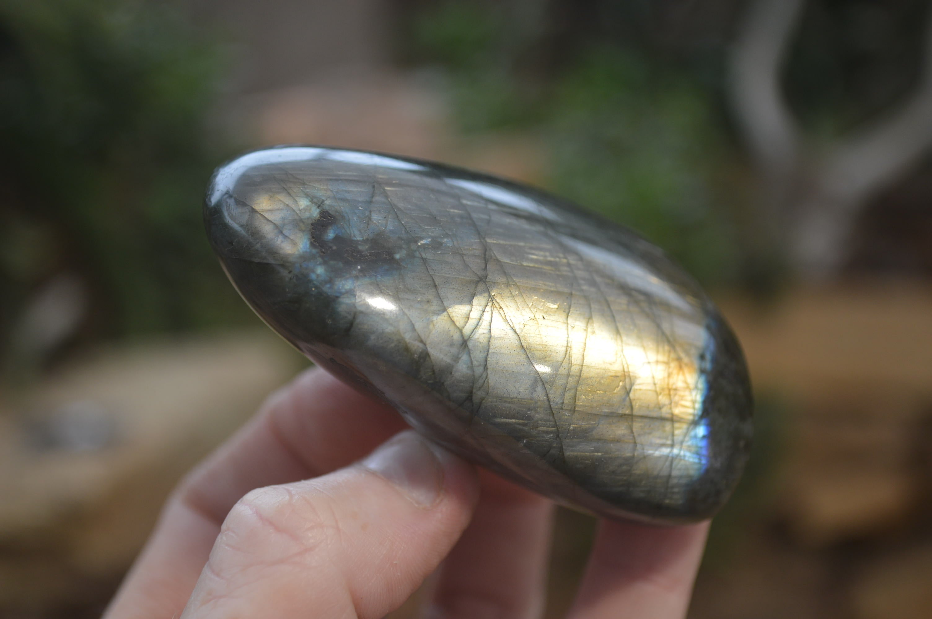 Polished Labradorite Standing Free Forms x 6 From Madagascar - Toprock Gemstones and Minerals 
