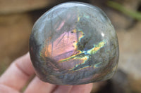 Polished Labradorite Standing Free Forms x 6 From Madagascar - Toprock Gemstones and Minerals 