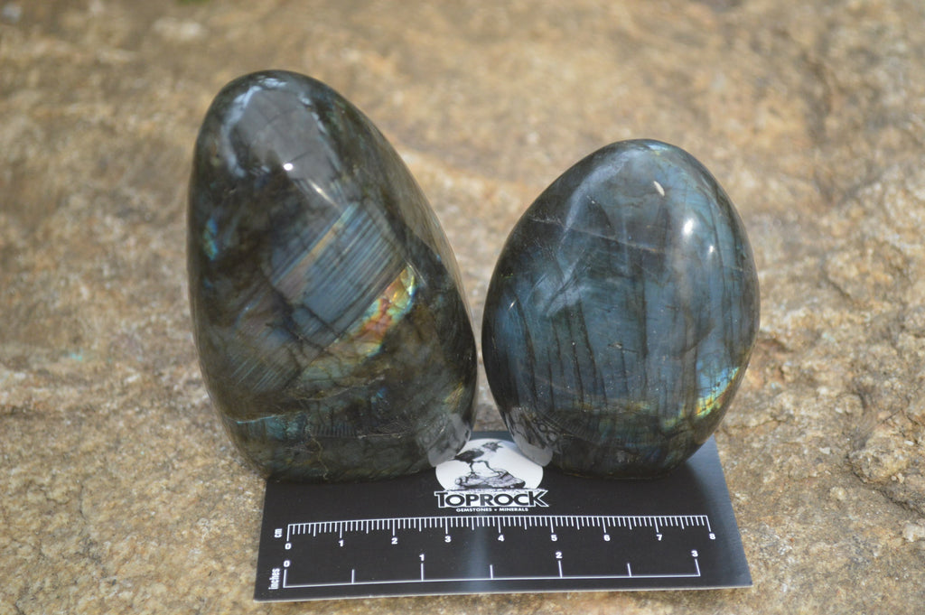 Polished Labradorite Standing Free Forms x 6 From Madagascar - Toprock Gemstones and Minerals 