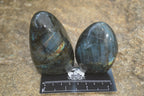 Polished Labradorite Standing Free Forms x 6 From Madagascar - Toprock Gemstones and Minerals 