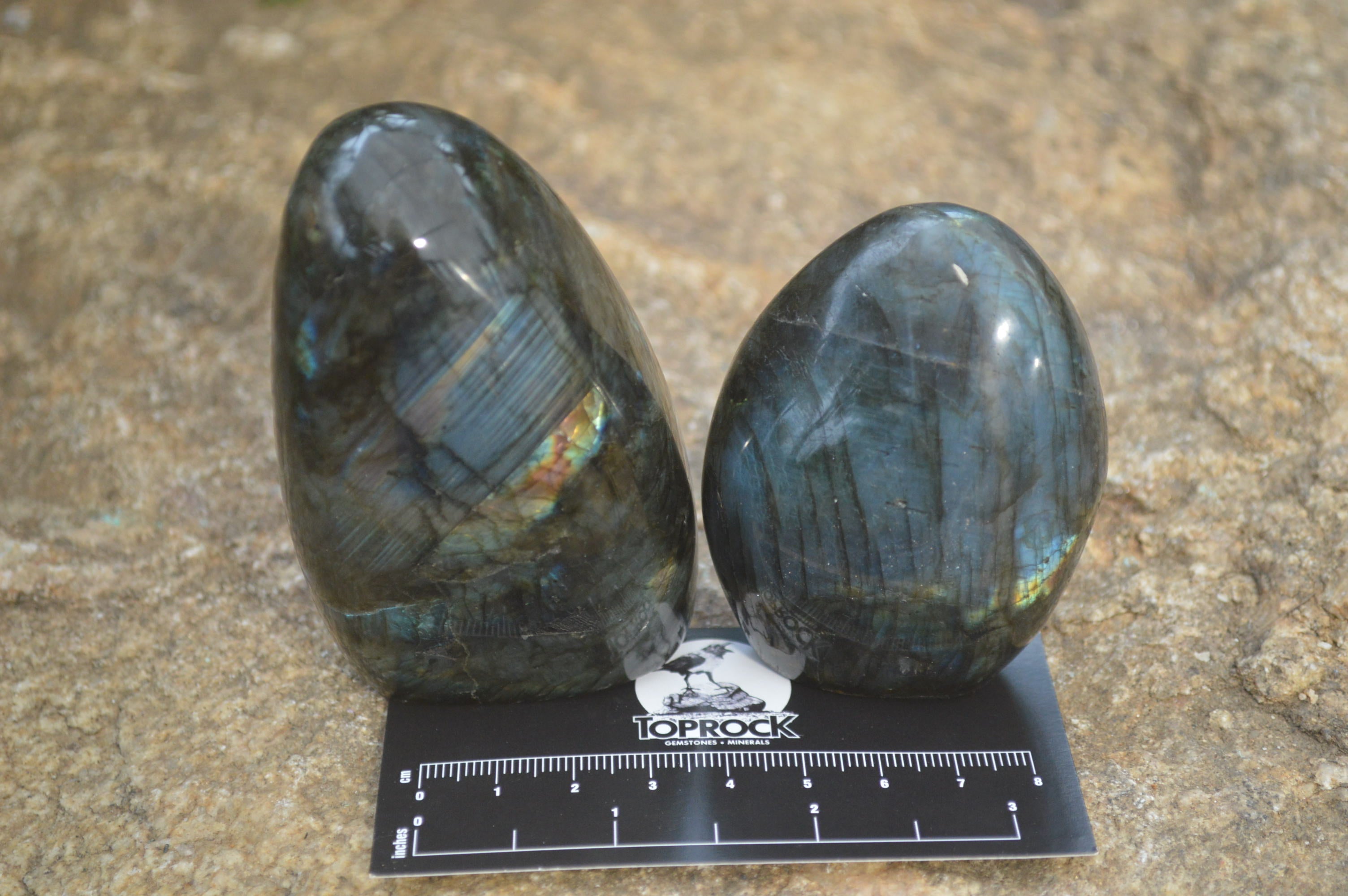 Polished Labradorite Standing Free Forms x 6 From Madagascar - Toprock Gemstones and Minerals 