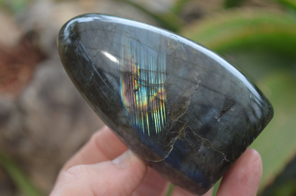 Polished Labradorite Standing Free Forms x 6 From Madagascar - Toprock Gemstones and Minerals 