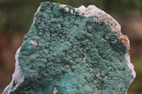 Natural Botryoidal Malachite Specimens x 2 From Tenke Fungurume, Congo - Toprock Gemstones and Minerals 