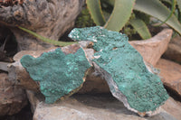 Natural Botryoidal Malachite Specimens x 2 From Tenke Fungurume, Congo - Toprock Gemstones and Minerals 