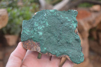 Natural Botryoidal Malachite Specimens x 2 From Tenke Fungurume, Congo - Toprock Gemstones and Minerals 