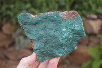 Natural Botryoidal Malachite Specimens x 2 From Tenke Fungurume, Congo - Toprock Gemstones and Minerals 