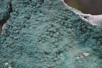 Natural Botryoidal Malachite Specimens x 2 From Tenke Fungurume, Congo - Toprock Gemstones and Minerals 