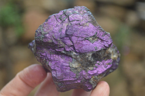 Natural Metallic Purpurite Cobbed Specimens x 6 From Erongo, Namibia - Toprock Gemstones and Minerals 