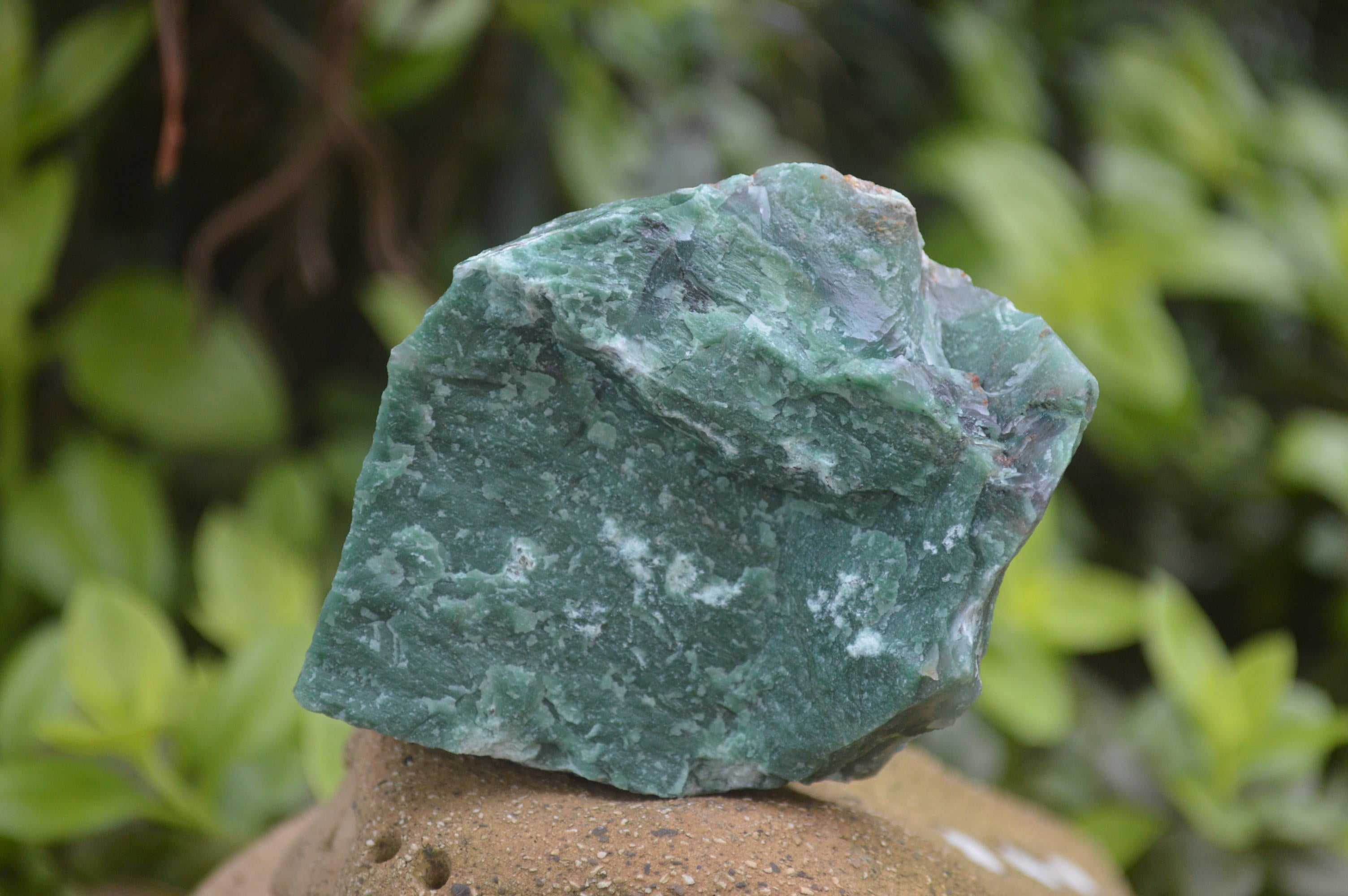 Natural Swazi Jade Cobbed Specimens x 12 from Swaziland - Toprock Gemstones and Minerals 