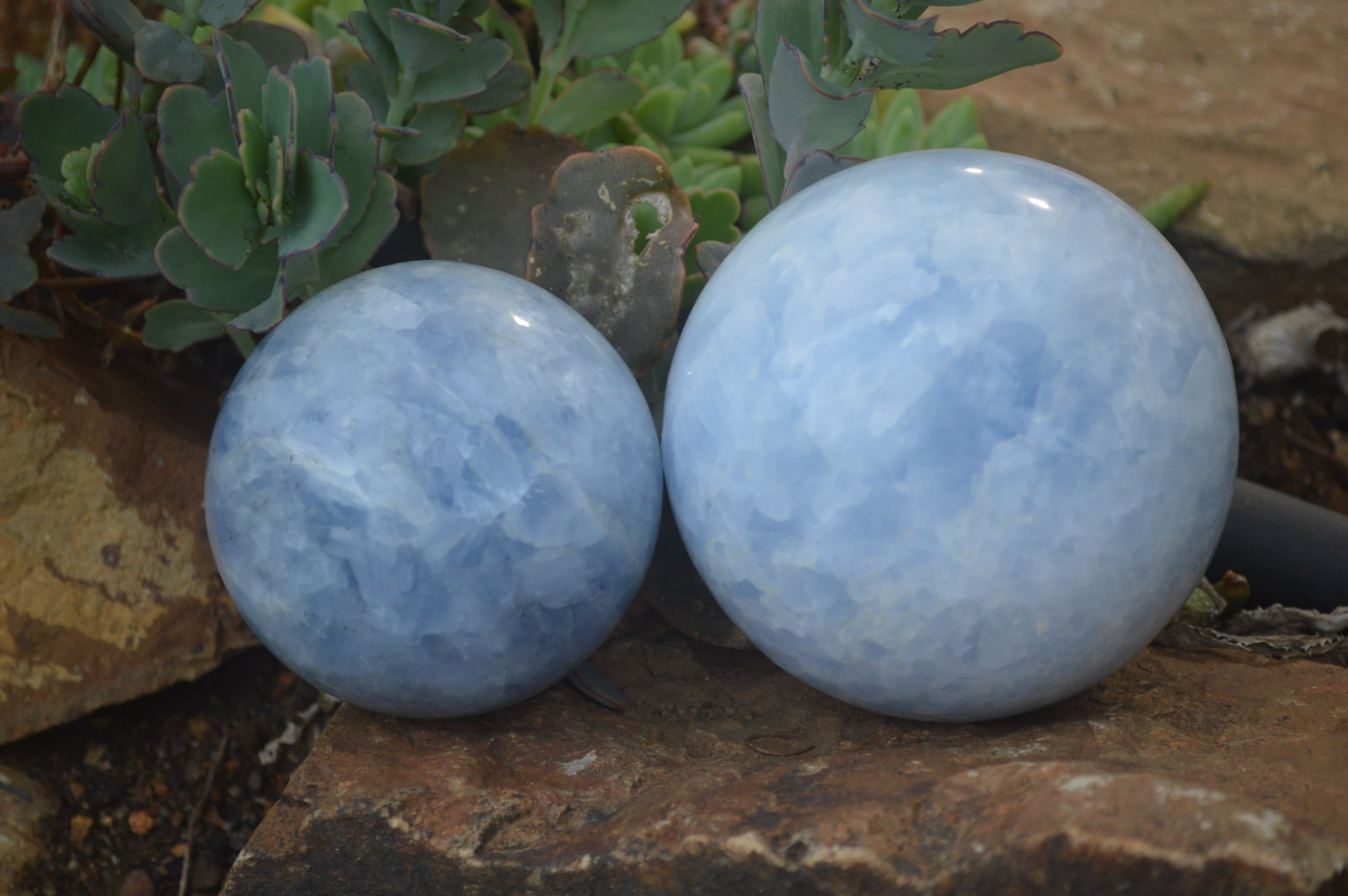 Polished Blue Calcite Spheres x 2 From Madagascar - Toprock Gemstones and Minerals 