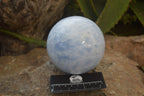 Polished Blue Calcite Spheres x 2 From Madagascar - Toprock Gemstones and Minerals 