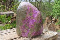 Polished Stichtite Standing Free Form x 1 From Barberton, South Africa - Toprock Gemstones and Minerals 