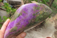 Polished Stichtite Standing Free Form x 1 From Barberton, South Africa - Toprock Gemstones and Minerals 